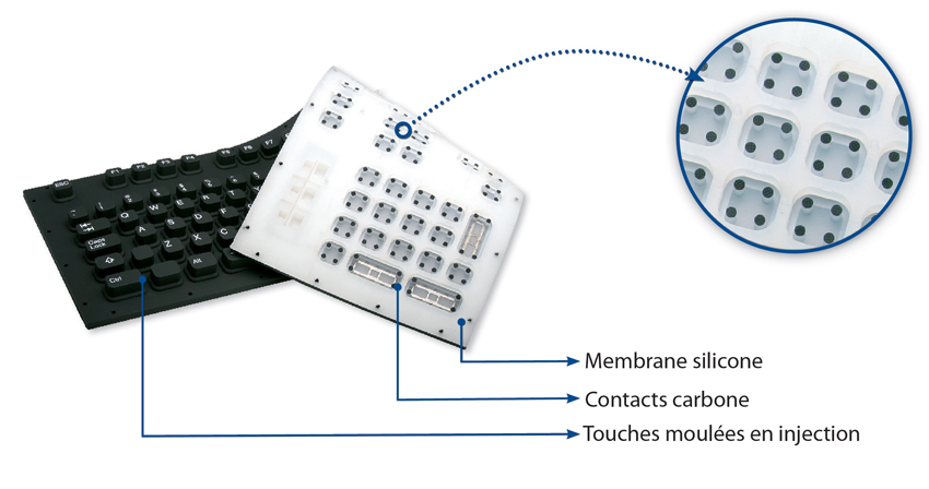 detail-membrane